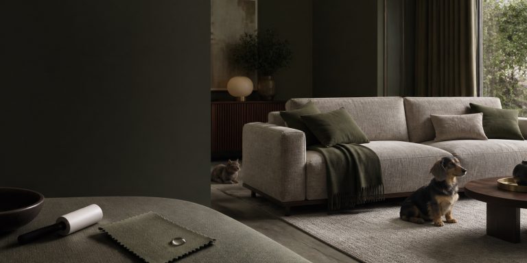 Диван у щільній pet-friendly оббивці, кіт, собака та зразок easy-clean тканини